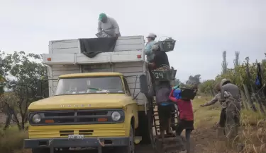 La Cosecha