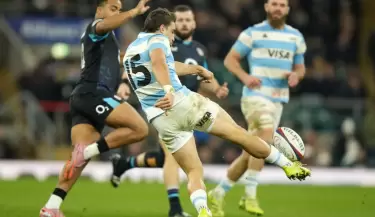 los pumas
