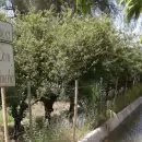 Mendoza licitará una obra clave para modernizar el canal Bombal, en San Rafael