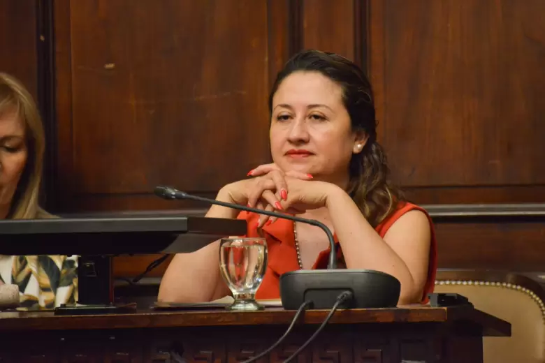 senado
