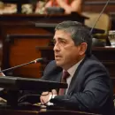 Media sanción para una ley clave que redefine la producción de semillas en Mendoza