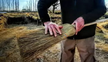 Mendoza se prepara para el Festival del Junquillerito que promete cautivar a todo la provincia