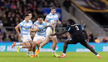 los pumas