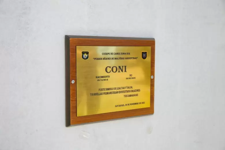 Placa
