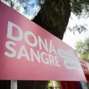 Verano sin stock: el Banco de Sangre alerta por una profunda caída en los donantes
