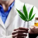El Gobierno implement� un r�gimen simplificado para sumar productores de cannabis medicinal
