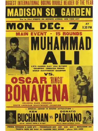 bonavena ali