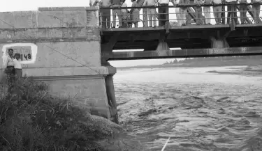 El Puente de Palmira