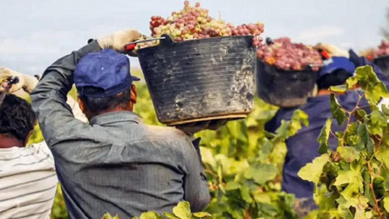 vinatero
