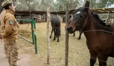 policia rural
