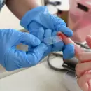 Insisten con la donaci�n de sangre: por qu� es clave durante el verano y a qui�nes puede salvar