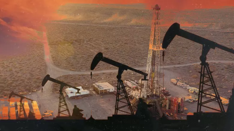 vaca muerta energ�a