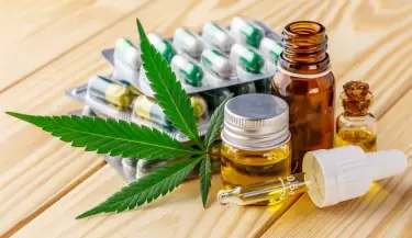 cannabis marihuana