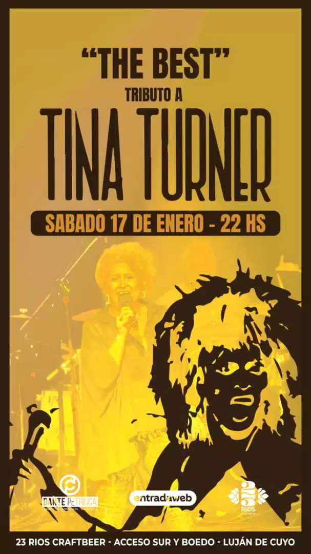 tributo a tina turner