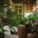 Antes de que llegue Alfredo
