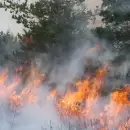 El Gobierno prometi� �mano dura� contra los responsables de los incendios en Chubut
