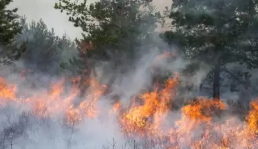 incendio