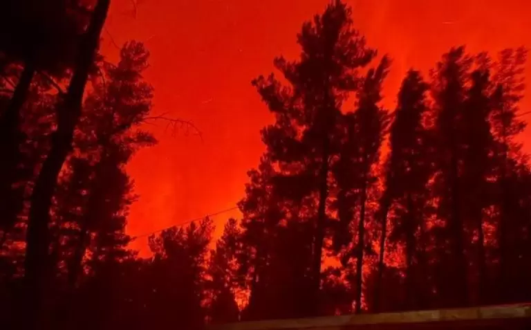 Incendios Chubut