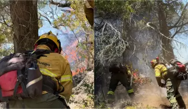 incendio brigadistas