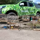 Rescataron aves en cautiverio durante un operativo en una vivienda de Guaymallén