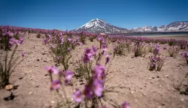 laguna del diamante