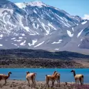 Últimos días para visitar la Laguna del Diamante: cuándo cerrará la temporada de ingreso