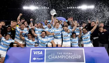 los pumas