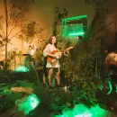 Romi L�pez y las Tortugas se presentar�n en Rollo Estudio, con una puesta audiovisual de Acolor