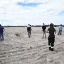 Parque solar en Guaymallén: crece el interés privado por el proyecto energético
