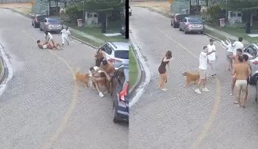pelea jugadores