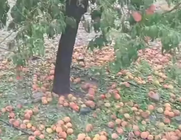 granizo en Tupungato