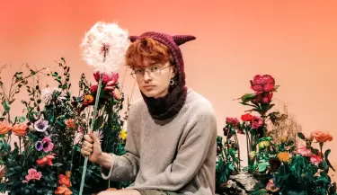 cavetown