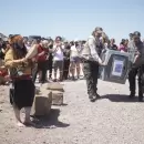 Un c�ndor andino no pod�a volar, fue rehabilitado y luego liberado en San Rafael