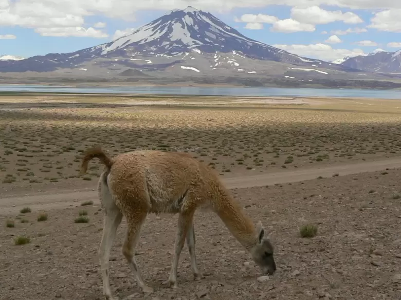 turismo mendoza