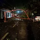 �rboles ca�dos y cortes de tr�nsito: as� fue el operativo en Capital tras la tormenta