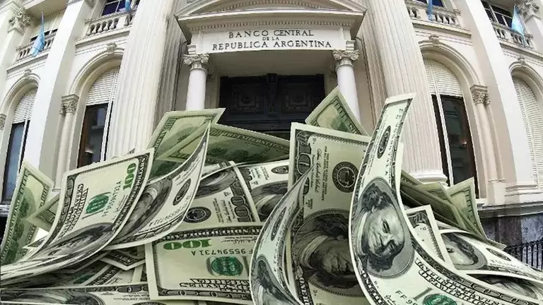 dolares