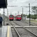 Un árbol caído por el temporal generó la interrupción total del servicio del Metrotranvía