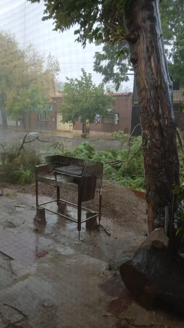 temporal