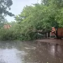 (Videos) Diluvio, da�os, demoras y hasta un accidente que complic� el tr�nsito en el Acceso Sur