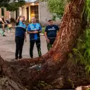 Luego del fuerte temporal, Maipú también activó un operativo integral de emergencia