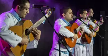 ir�n - nueva zelanda