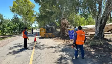 operativo ruta 50
