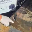 Gendarmería halló pinturas rupestres de pueblos originarios en dos operativos