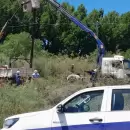 Avanza la electrificación rural en el Sur provincial y amplían el acceso a la energía en zonas ganaderas