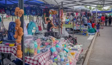 feria escolar