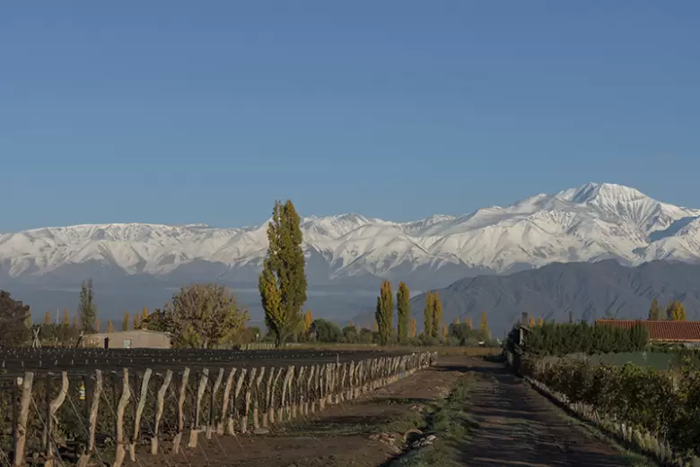 mendoza turismo