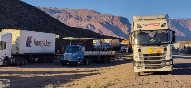 Largas filas por la caída del sistema de ARCA en la aduana