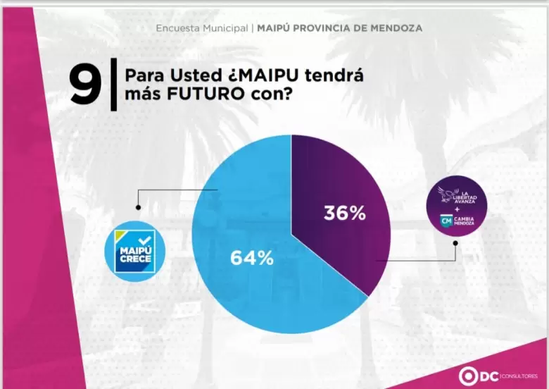 ENCUESTA ELECCIONES