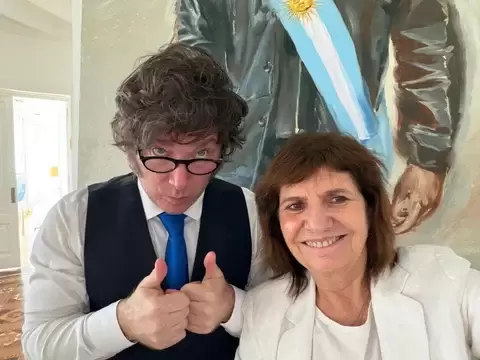 milei bullrich
