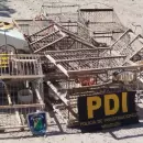 Operativo en Maipú para rescatar ejemplares de siete cuchillos, víctimas del tráfico ilegal